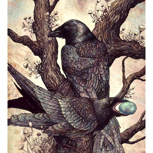 Ravens 8x10 Print