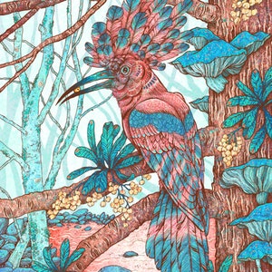 May include: A pink and blue bird with a large crest of feathers perched on a branch in a forest setting. The bird has a long, thin beak and is surrounded by blue and green foliage.