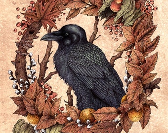 November Raven 8x10" Print