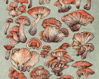 A Series of Mushrooms 8x10" Print