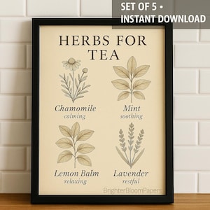 Printable Herb Wall Art – Set of 5 Vintage Botanical Kitchen Prints, Instant Download A4 & 8×10, Farmhouse Decor