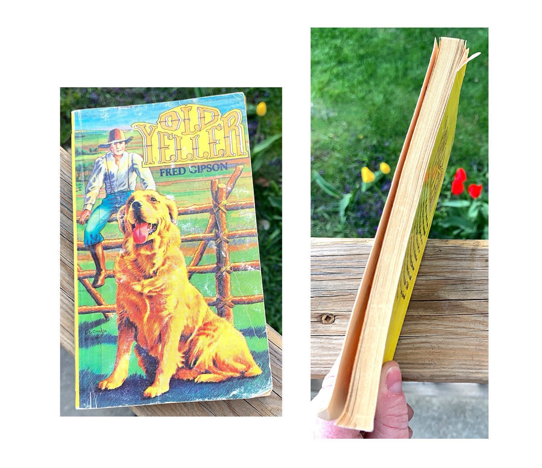 old yeller paperback old yeller paperback