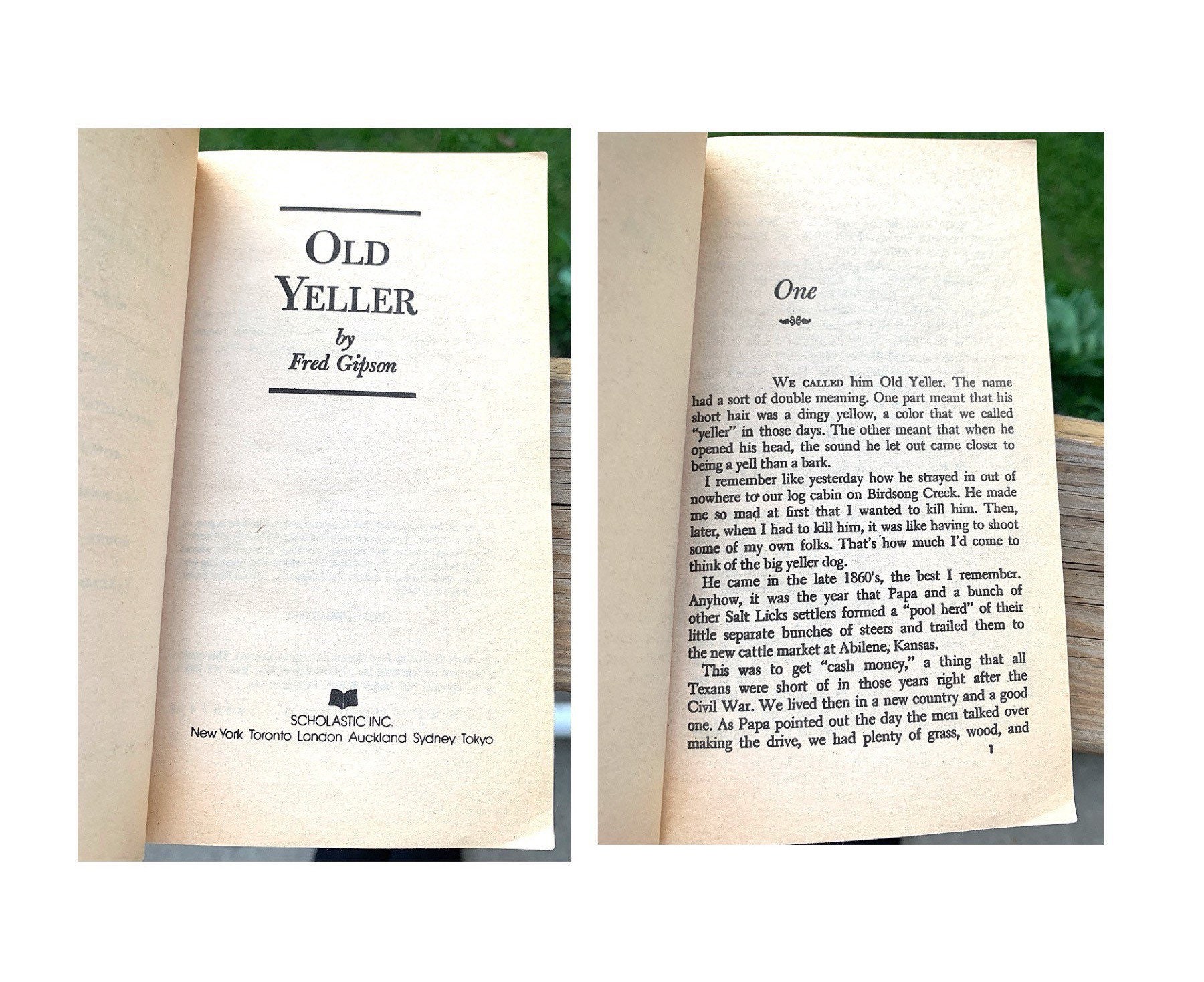 old yeller paperback old yeller paperback