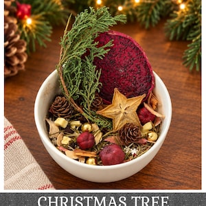 May include: A white ceramic bowl filled with a potpourri mix containing a large dried red dragon fruit slice, a dried star fruit, small pinecones, green cedar sprigs, red berries, gold metallic spheres, and wood shavings.