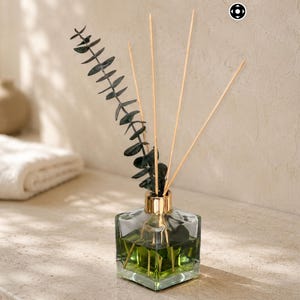 Può includere: Un flacone diffusore a bastoncini in vetro quadrato con un colletto dorato, riempito di liquido verde. Diversi bastoncini di legno sottili e un rametto di foglie di eucalipto verde scuro sono inseriti nel flacone, sporgendo dall'apertura.