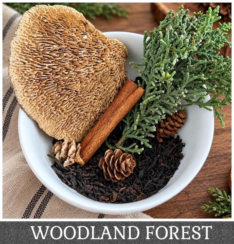 May include: A white ceramic bowl filled with loose black tea leaves, a large tan textured mushroom, a brown cinnamon stick, a green cedar sprig, and two small brown pinecones. The text WOODLAND FOREST is printed at the bottom of the image.