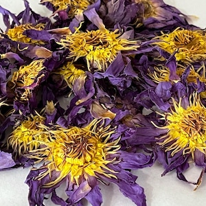 Egyptian Blue Lotus Flower Culinary Food Grade Nymphaea Caerulea Waterlily Flower Dried Whole Flowers .25oz - 1oz | .25oz = approx 6 flowers