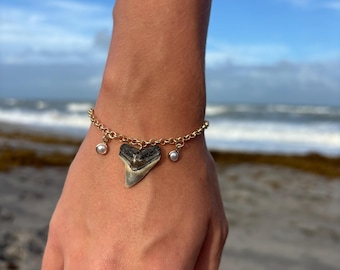 Shark tooth bracelet