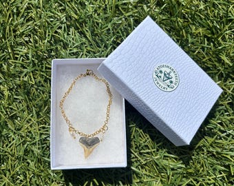 Shark tooth bracelet