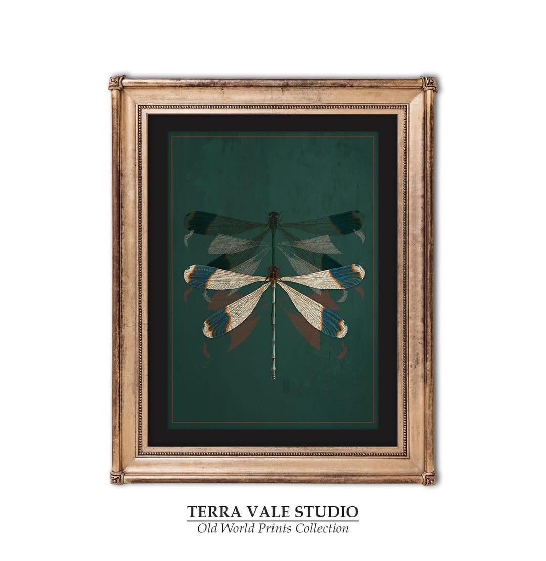 Print of Vintage Blue Dragonfly Wall Art | Antique Illustration | Moody ...