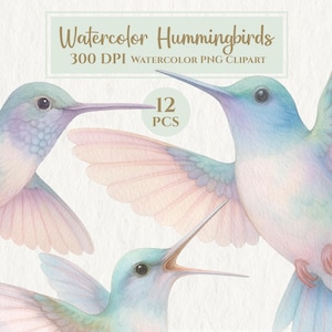 Hummingbird Clipart Bundle – 12 Pastel Watercolor Birds – Transparent PNG Digital Download – Boho Bird Illustrations for Stickers