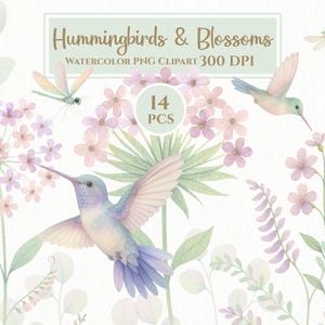 Watercolor Hummingbirds & Blossoms Clipart – 14 PNGs | Pastel Floral Illustrations, Transparent Background, High-Res 300 DPI