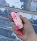 PRE ORDER | Animal Cookies Lighter Case | Smoking Accessories | Polymer Clay Lighter Case | Bic Lighter Cases | Original Design