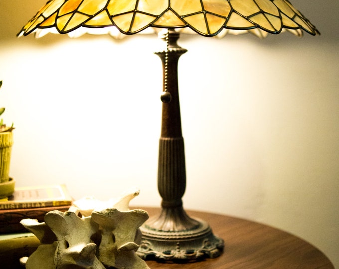 Ivory White Capiz / Abalone Shell Lamp Large, Elegant & Delicate, Bone