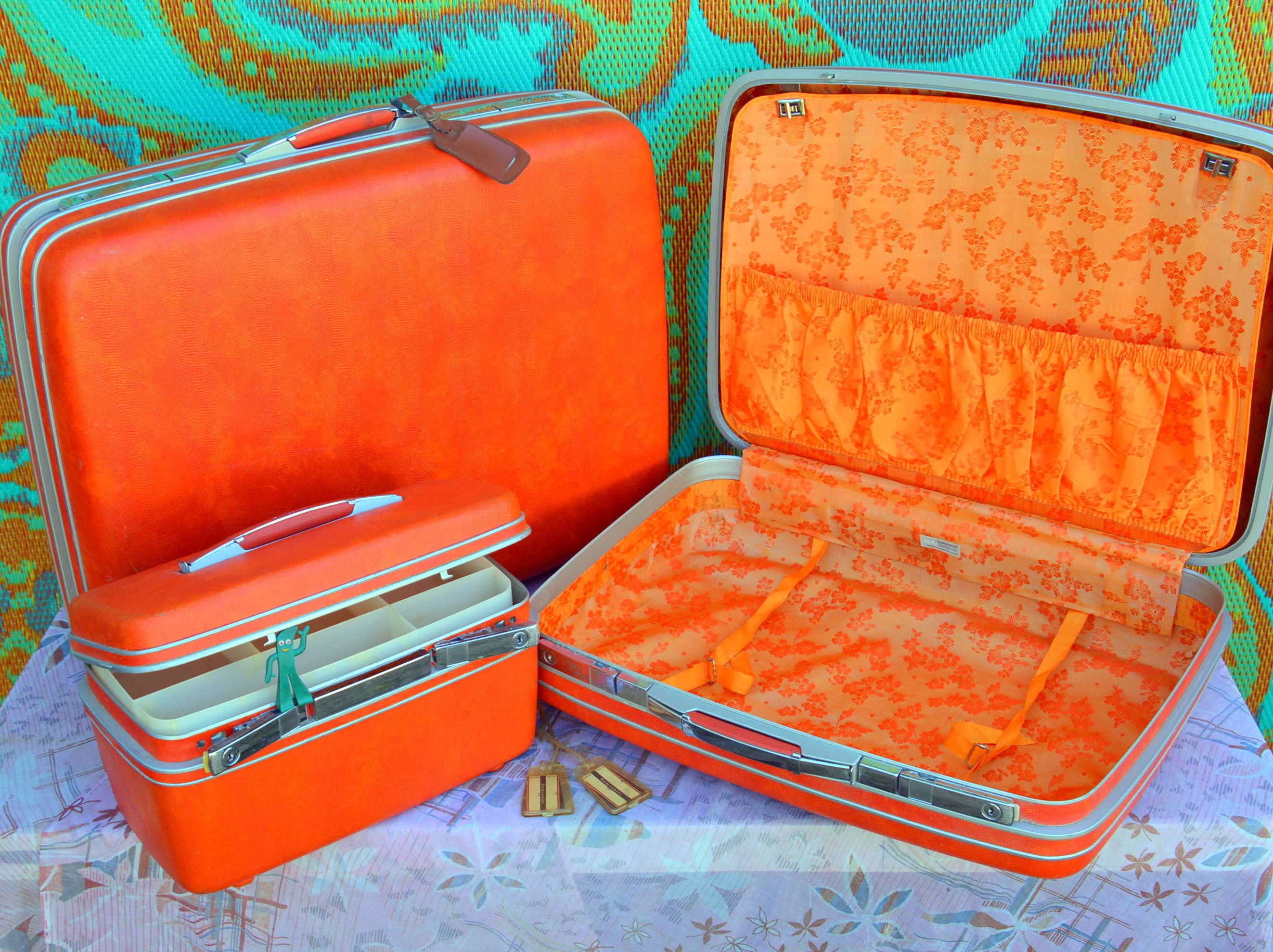 samsonite hard makeup case