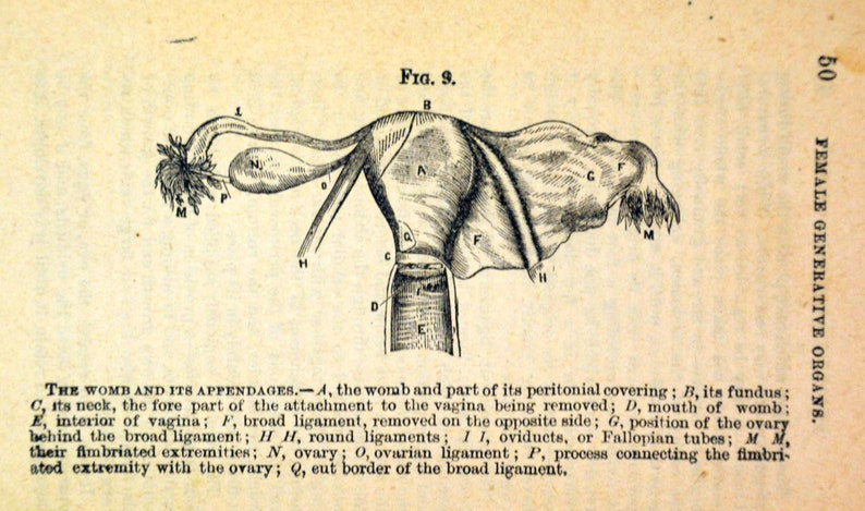 Antique Marriage Medical Anatomy Book: Home Physician Etsy