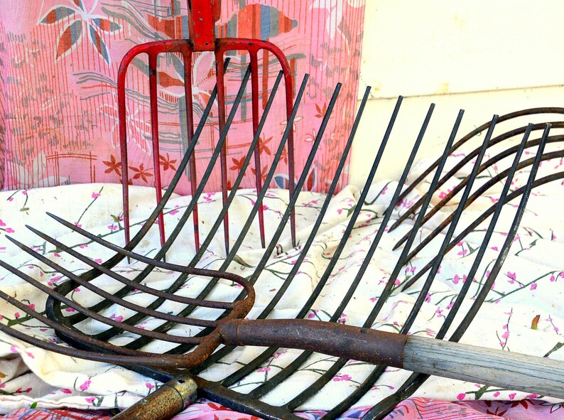 Vintage 12 Tine Hay / Pitch Fork / Pitchfork with Solid Etsy