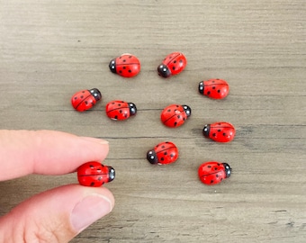 10pc Micro Miniature Ladybugs / Tiny Mini Red Bugs Crafting Art Terrarium Garden Diorama