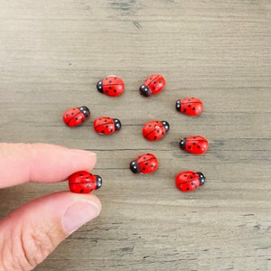 10pc Micro Miniature Ladybugs / Tiny Mini Red Bugs Crafting Art Terrarium Garden Diorama