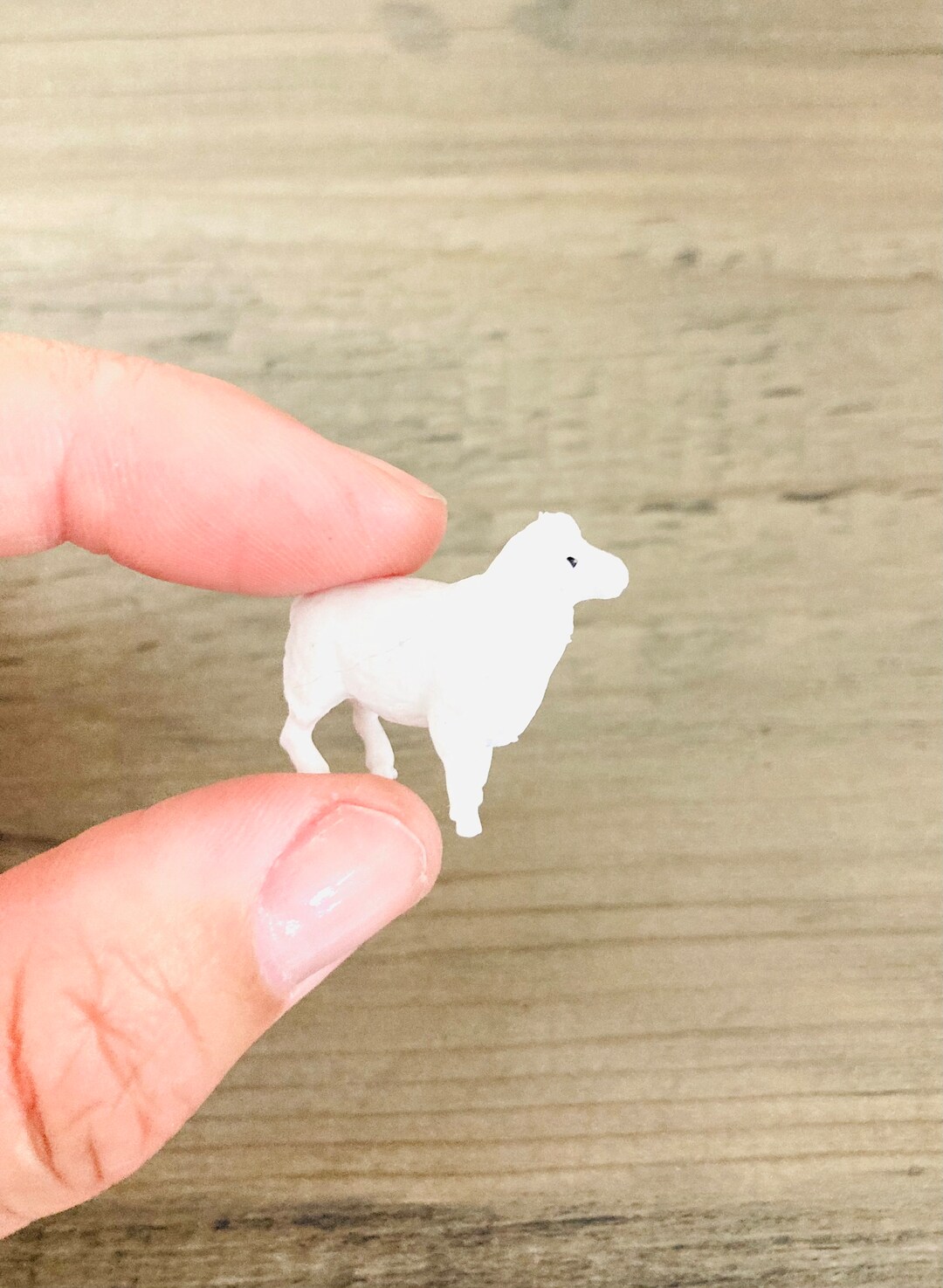 Micro Mini Lamb Miniature Wholly Sheep / Mini Farm Lamb Ewe Micro Mini Sheep Crafting ...