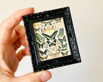 Miniature Butterfly Picture Frame / Antique Style Dollhouse Mini Frame Wall Decor Hanging Vintage Style
