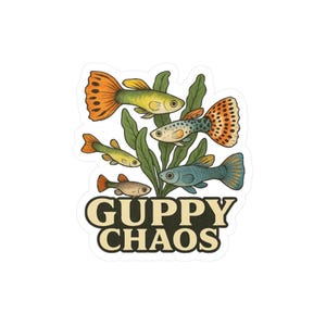 Guppy Chaos - Funny Aquarium Fish Vinyl Sticker for Aquatic Pet Lovers, Decal Gift for Fish Lovers, Aquarists, or Exotic Pet Hobbyists