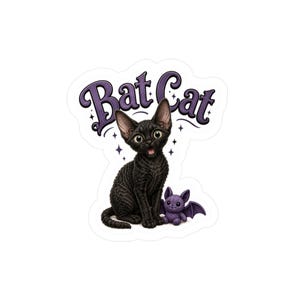 May include: A die-cut sticker featuring a black cat with large eyes sitting next to a small purple bat plush toy. Above the cat, the text "Bat Cat" is written in a stylized purple font, surrounded by small four-pointed star accents.