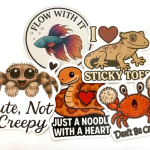 Könnte beinhalten: Eine Sammlung farbenfroher Aufkleber mit Illustrationen von niedlichen Tieren. Designs umfassen einen Kampffisch, Gecko, Spinne, Schlange und Krabbe, jeweils mit spielerischen Texten wie "Cute, Not Creepy" und "Don't Be Crabby."