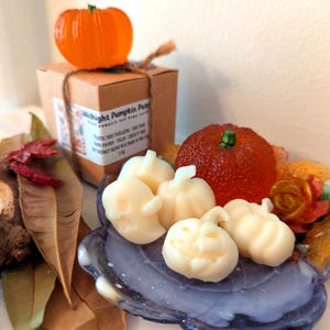 Fall Wax Melts: Midnight Pumpkin Patch - fresh pumpkin and damp earth - strongly scented