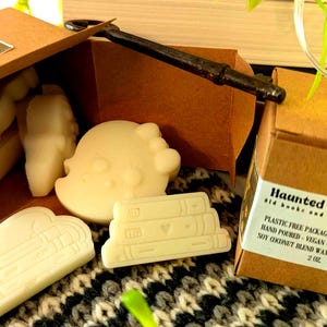 Wax Melts: Haunted Library - Old Books & Warm Wood - a cozy, bookish home fragrance in cute shapes