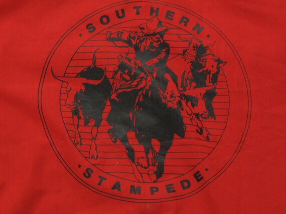 vintage southern stampede Roebucks western shirt - image 5