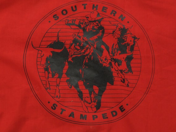 vintage southern stampede Roebucks western shirt - image 1