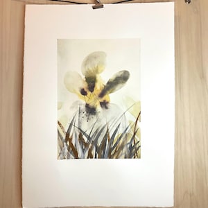 Strani fiori. Acquerello elegante e romantico su carta Fabriano Artistico, Formato 28,5 x 38, grana satinata da 300gr