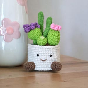 Handmade Crochet Cactus Plant in Smiling Pot