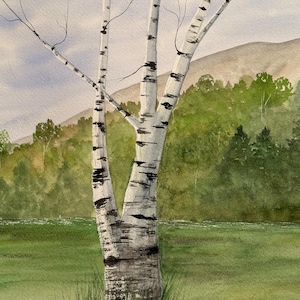 Original watercolor painting, watercolor landscape painting, birch trees