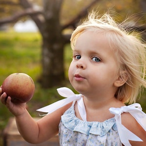 Può includere: Una bambina con i capelli biondi tiene una mela rossa in mano. Indossa un vestito floreale blu chiaro e bianco con spalline a nastro bianco. La bambina è in piedi in un campo erboso con un albero sullo sfondo.