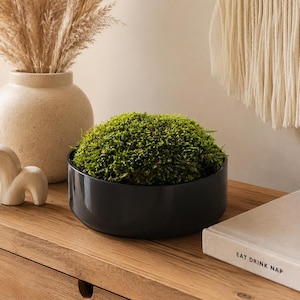 Preserved Moss Tray | Black Glass Moss Decor | Modern Indoor Moss Centerpiece | Minimalist Home Decor