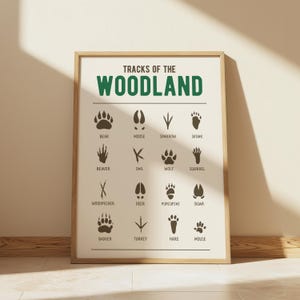 Woodland Animal Tracks Print Forest Animal Footprints Wall Art Nature Nursery or Kids Room Decor Rustic Wildlife Poster