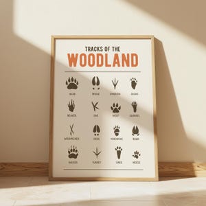 Woodland Animal Tracks Print Animal Footprint Wall Art Nursery or Kids Room Decor Nature-Inspired Woodland Poster Forest Animal Art Print