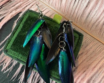 Jewel Beetle Earrings