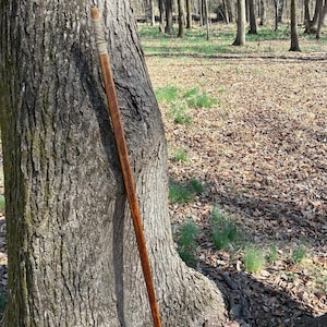 Tobacco Cane
