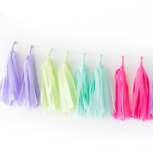Tissue Tassel Garland Kit - Fiesta : Mint Green, Limon, Hot Pink, Lavender - DIY Tassel Garland Kit, Tissue Paper Garland, Birthday