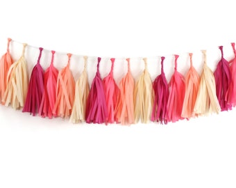 MACARON Tissue Tassel Garland Kit : Coral, Cerise Pink, Vanilla, Peach - DIY Tassel Banner, Fringe Garland, Pink Garland, Girl Birthday