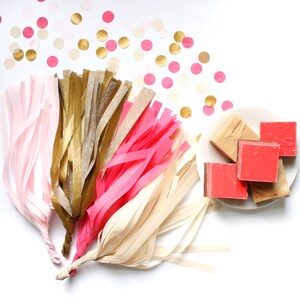 SWEETHEART Tissue Tassel Garland Kit : Azalea Pink, Blush Pink, Metallic Gold, Off White Party Tassels, Tissue Garland, Party Banner image 2