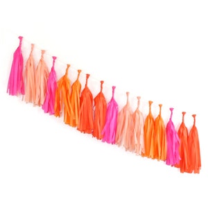 BRIGHT Tissue Tassel Garland Kit : Hot Pink, Tangerine, Orange, Peach, DIY Paper Tassels, Birthday Party Decor, Girl's Party, Bachelorette