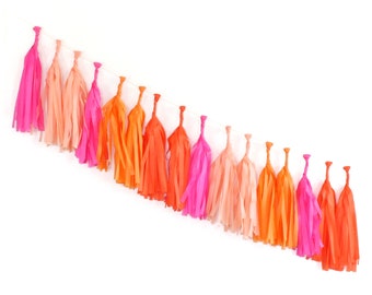 BRIGHT Tissue Tassel Garland Kit : Hot Pink, Tangerine, Orange, Peach, DIY Paper Tassels, Birthday Party Decor, Girl's Party, Bachelorette