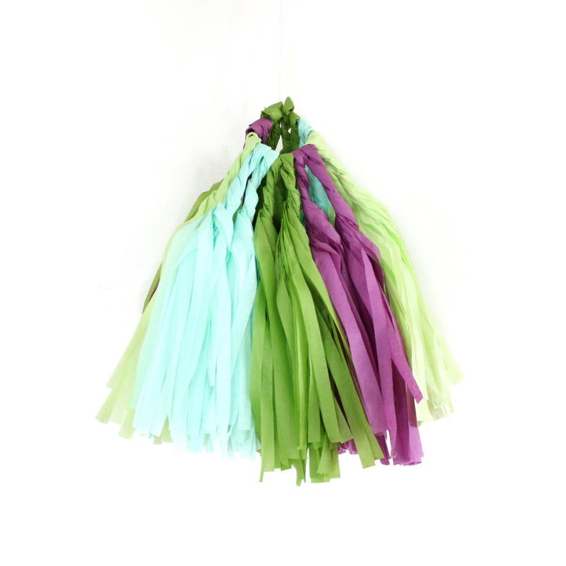 SUCCULENT Tissue Tassel Garland Kit : Oasis Green, Plum, Chartreuse, Mint, Green, DIY Tassel Garland Kit, Boys Birthday, Party Banner imagem 4