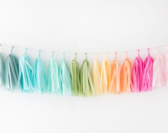 RAINBOW Tissue Tassel Garland Kit : Colonial Blue, Aqua, Mint, Sage Green, Vanilla, Peach, Raspberry and Blush Pink, DIY party banner