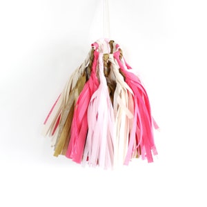 SWEETHEART Tissue Tassel Garland Kit : Azalea Pink, Blush Pink, Metallic Gold, Off White Party Tassels, Tissue Garland, Party Banner image 3