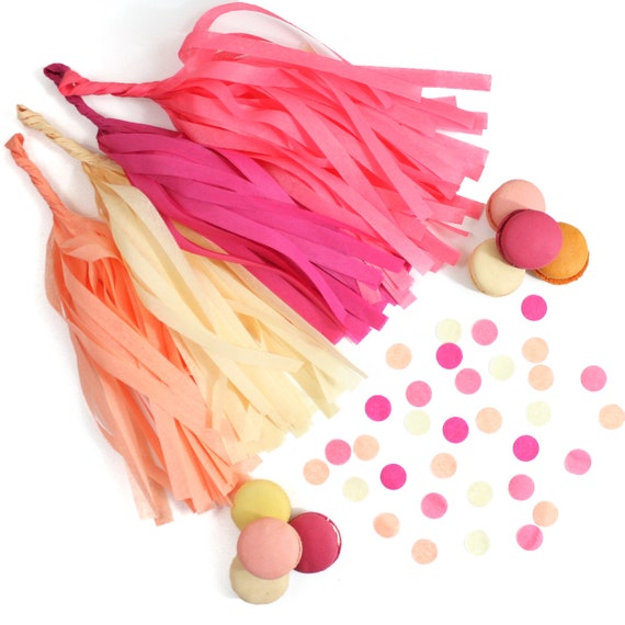 Macaron Tissue Tassel Garland Kit Coral Rose Cerise Vanilla